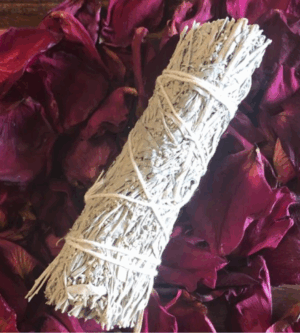 Blue Sage - California