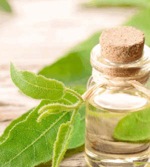 Eucalyptus Essential Oil- 15ml