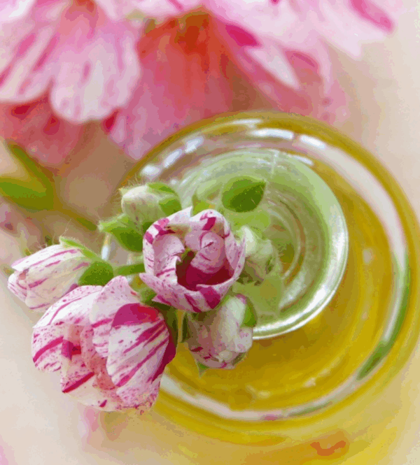 Geranium Essential Oil- 15ml