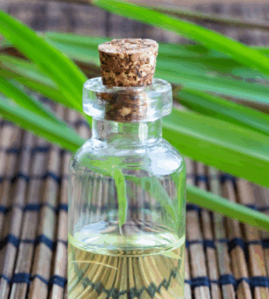 Lemongrass Essential Oil - 15ml
