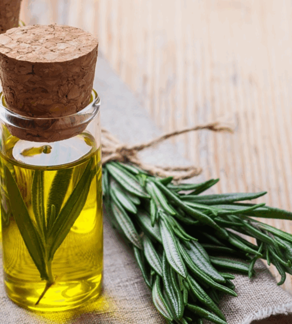 Rosemary Essential Oil- 15ml