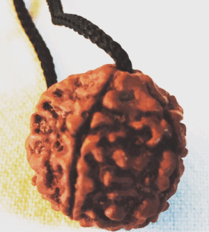 Rudraksha Bead