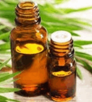 Tea Tree Essential oil 15ml Amber Bottle